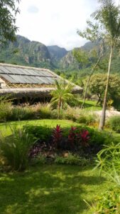 biocosntrucción de palapa de bambú. con techo verde y paneles solares.
